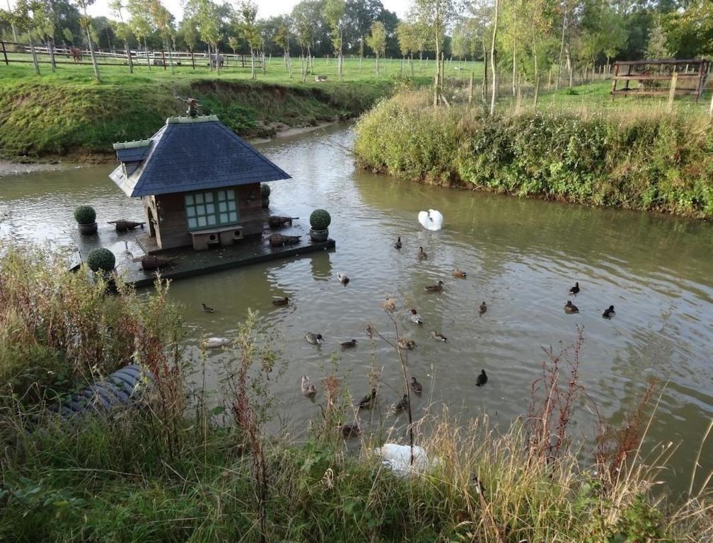 Bed and Breakfast Ferme De Dauval Mandeville-en-Bessin Exterior foto